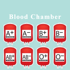Blood Chamber project